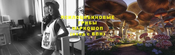 ешки Няндома